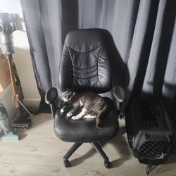 Corporate Leather Chair 