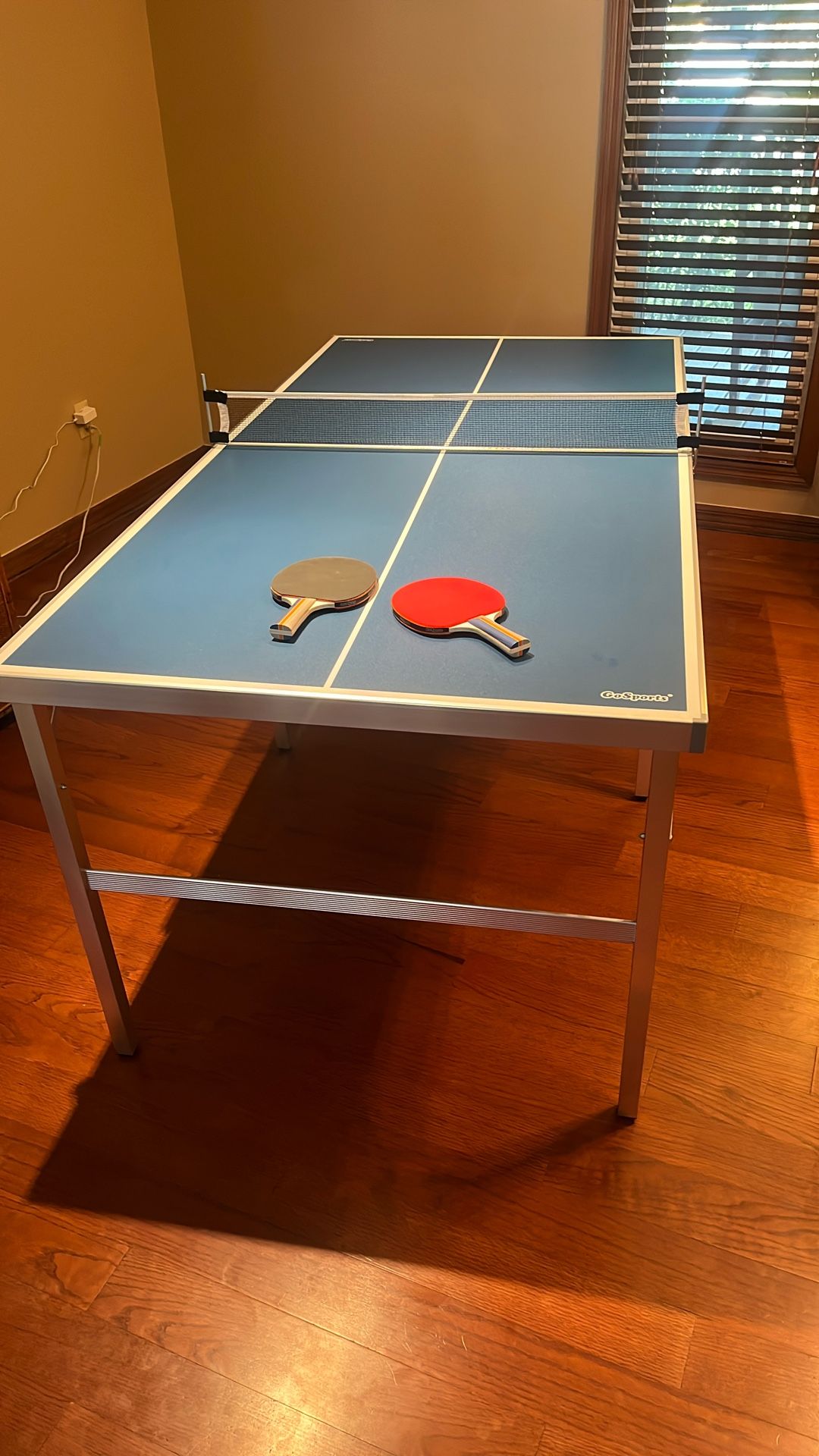 Ping Pong Table