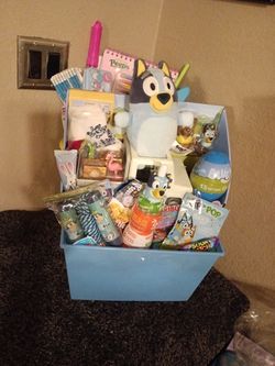 Bluey basket