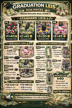 2026 Graduation Gift Money Leis