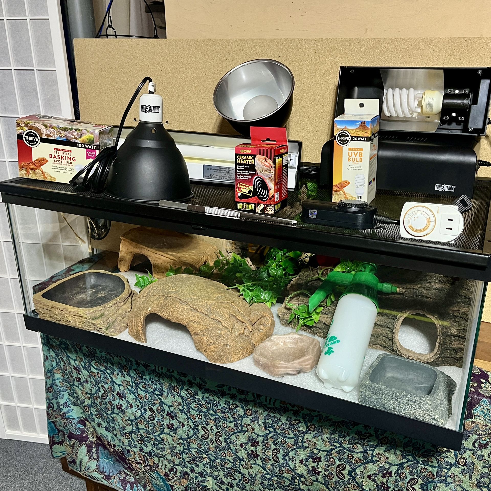 40 Gallon Tank (Entire Setup included)