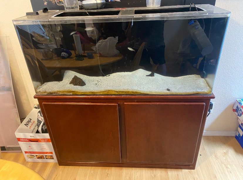 60-70 Gallon Acrylic Tank And Accessories 