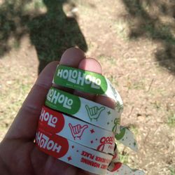 Holo Holo Music Festival Saturday and 2 Day Wristbands @ Venue NOW!!!
