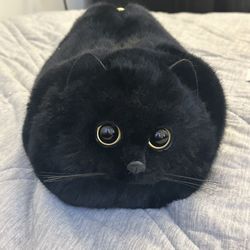 A Cat Bag With Delivery 