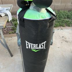 Everlast Punching Bag And Gloves