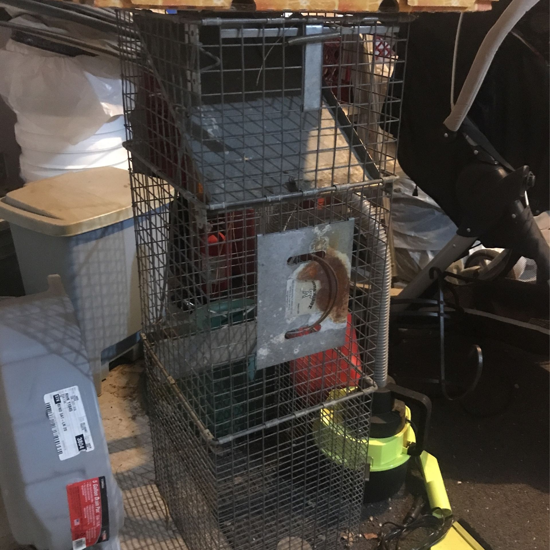 Animal Trap