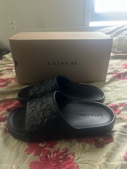 Coach slides