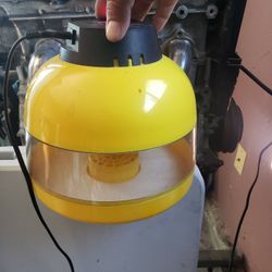 Egg Incubator