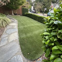Turf Remnant 