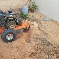 Stump Grinder