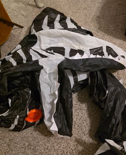 Skeleton dinosaurs custom /10-12