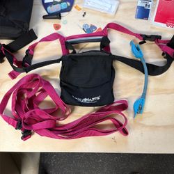 Lucky Bums Ski Trainer & Wedgaese 