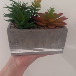 Decor