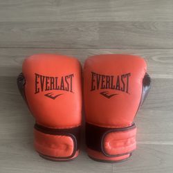 Red 16oz Everlast Boxing Gloves