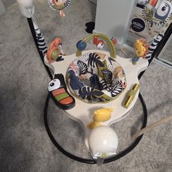 Fisher Price Baby Bouncer.