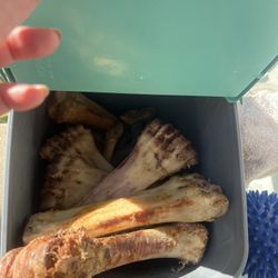 Bones to grind Into Bone Meal Free