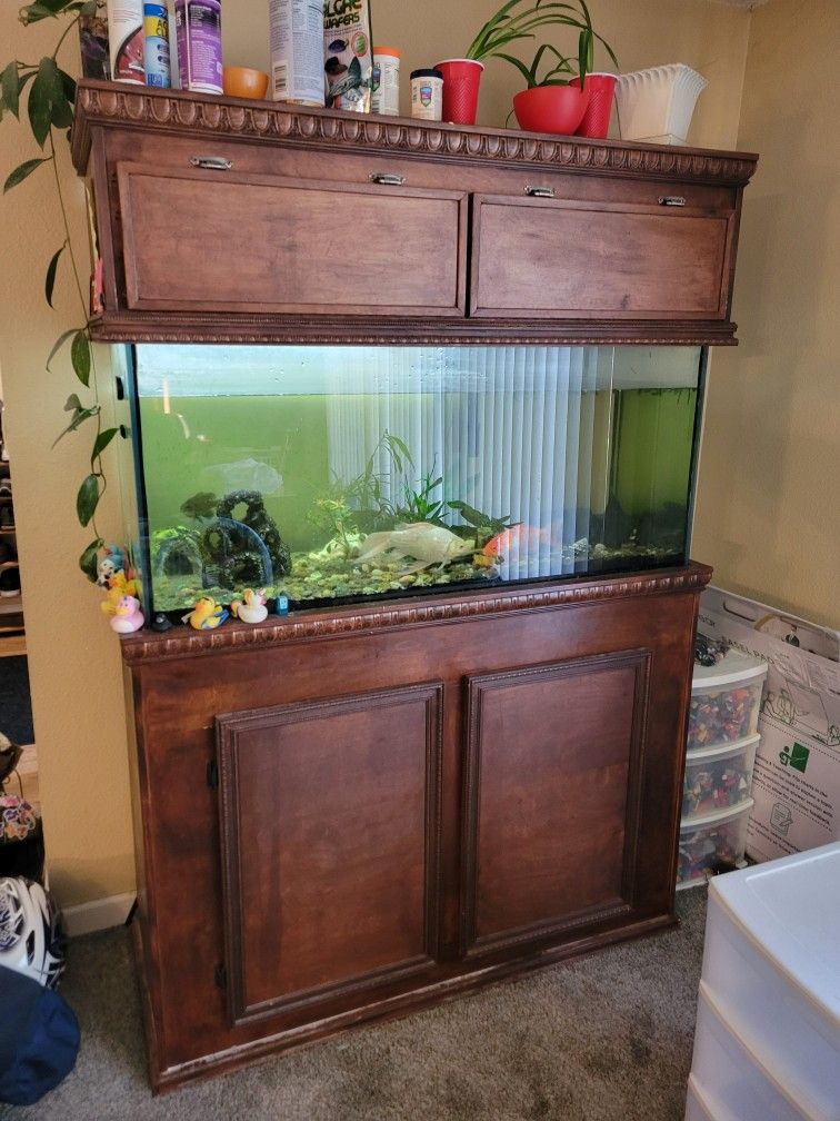 90 Gallon Fish Tank