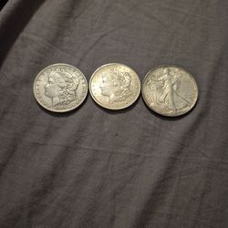 Silver Dollars 1991 ,1921 And 1889