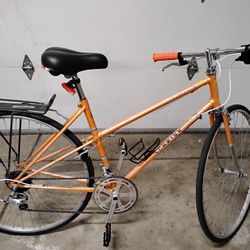 schwinn le tour classic bike 100