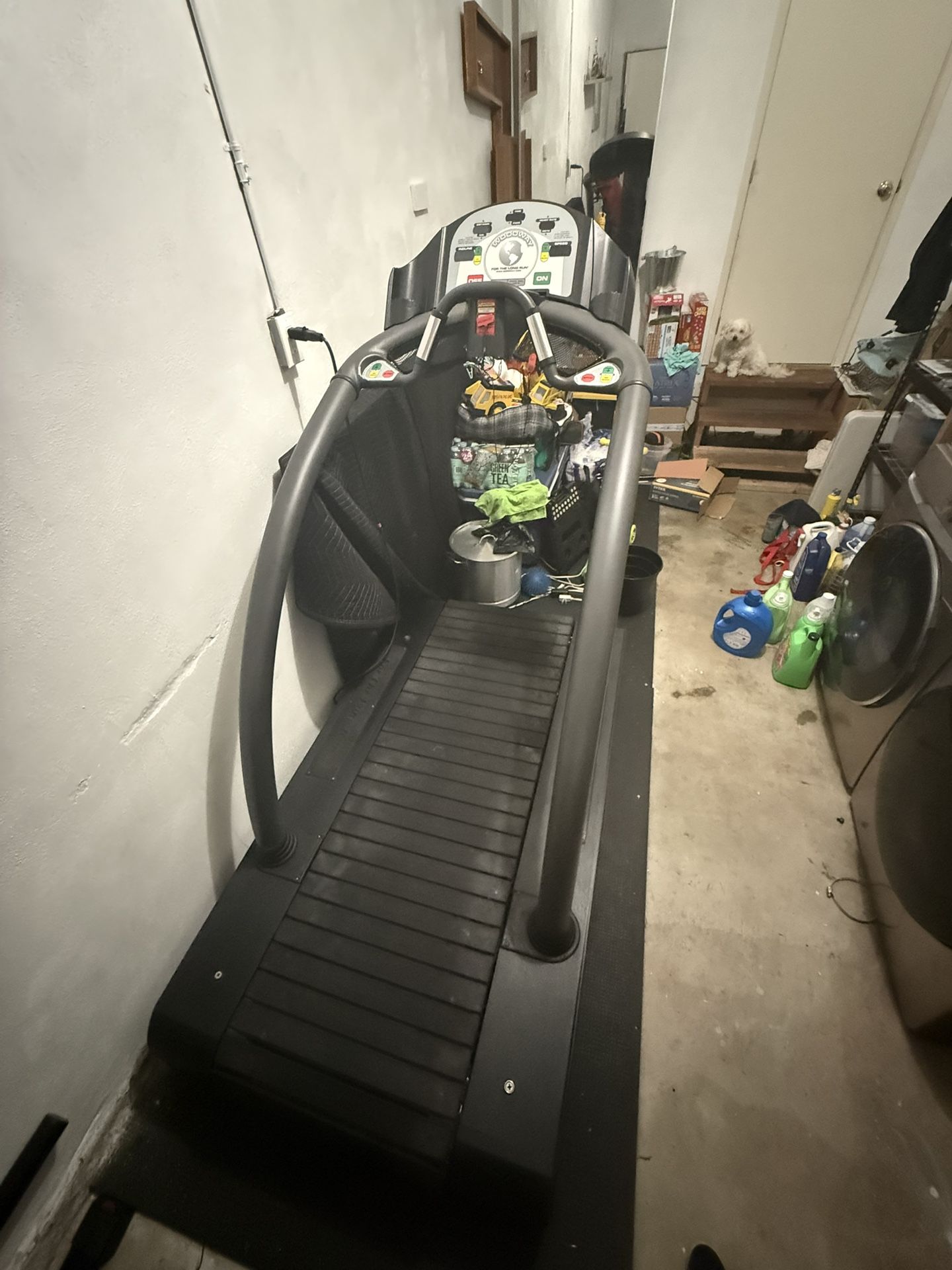 Woodway Treadmill