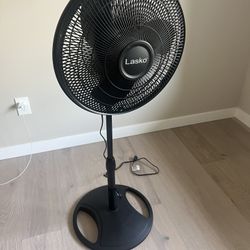 Oscillating Fan