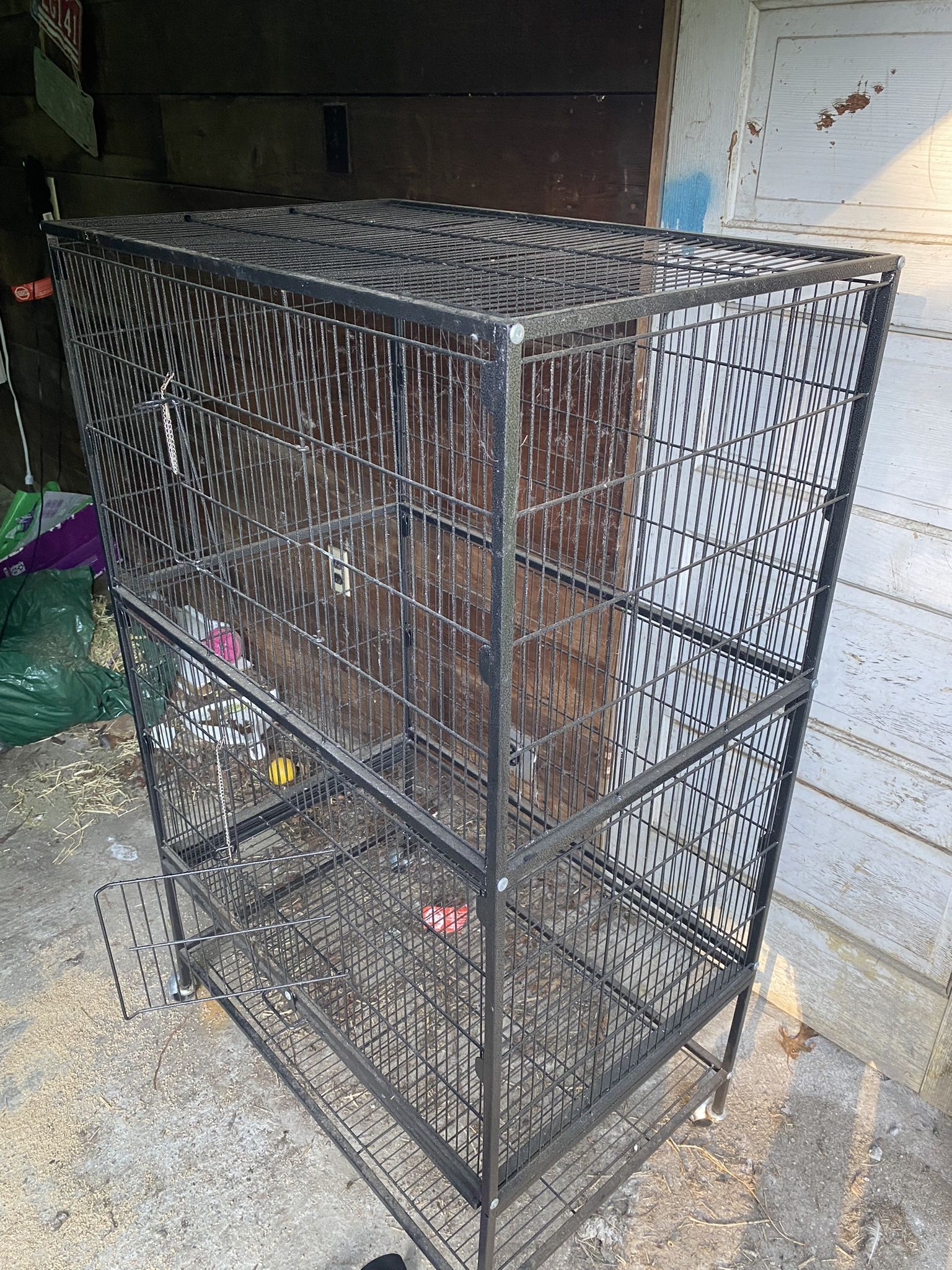 Bird Cage