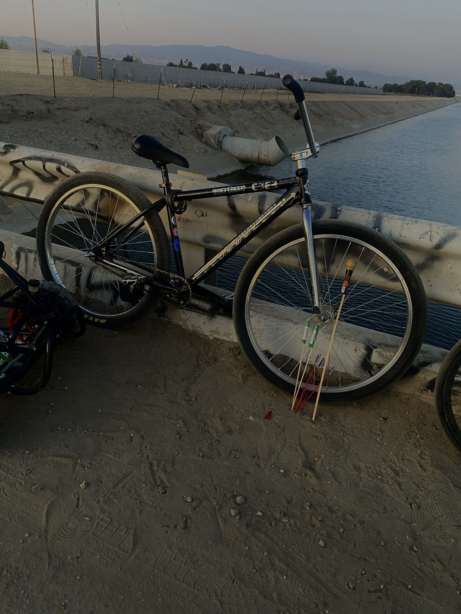 C2 29er