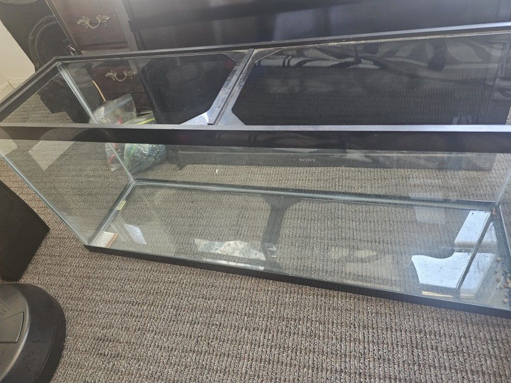 55 Gallon Aquarium