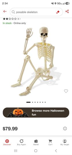 Skeleton