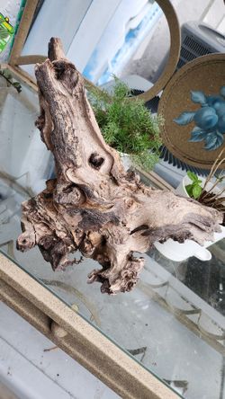 Drift Wood Decor