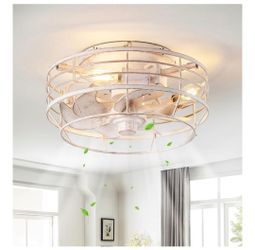 Ceiling Fan with Light