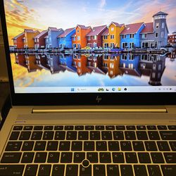 Windows Laptop