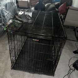 Large Dog Cage