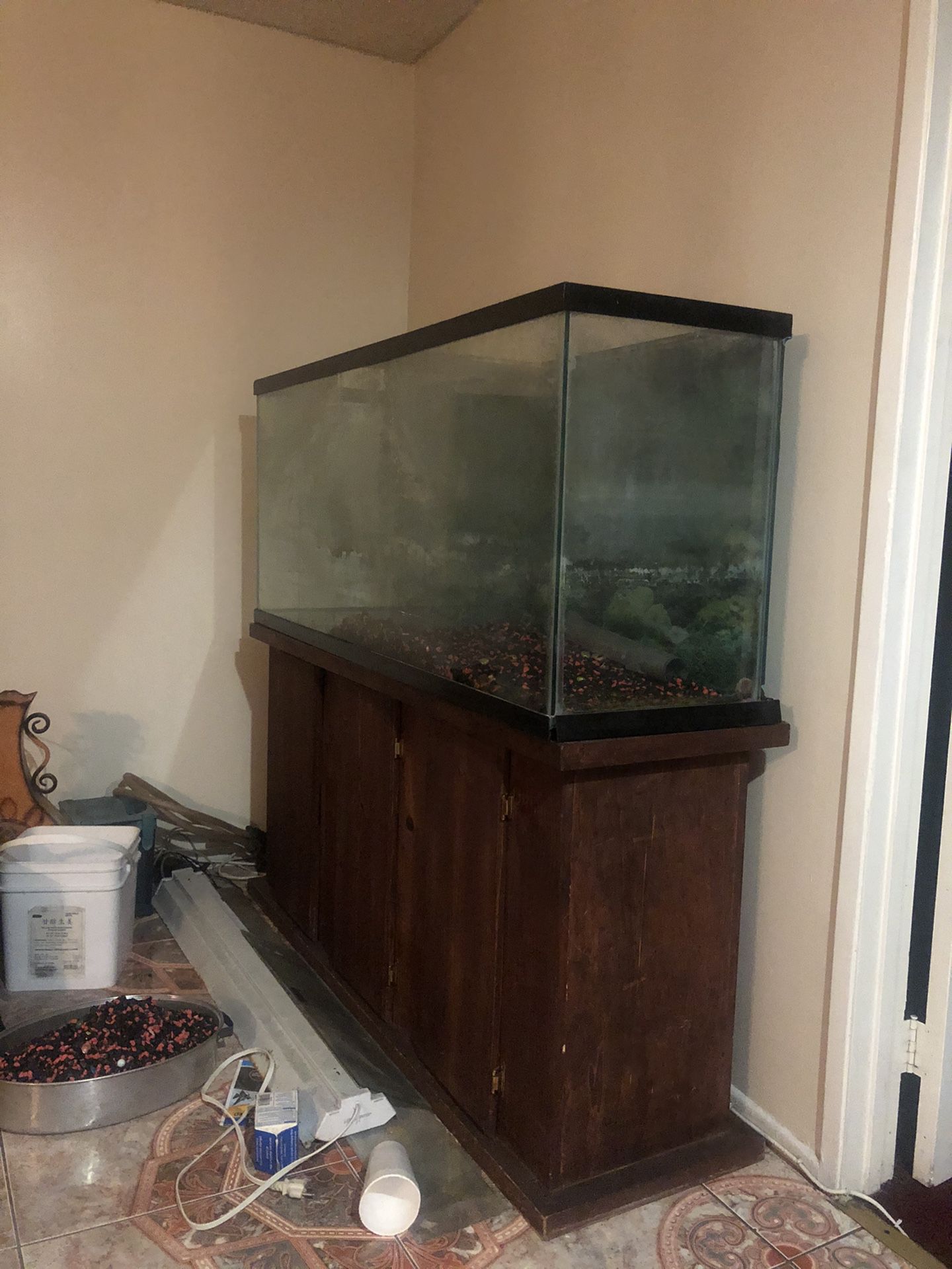 70 gallon fish tank