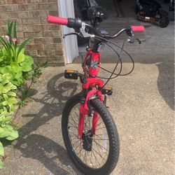 Kids Bike 20 Inch 