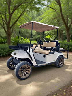 EZGO 2004 36V Electric Golf Cart in good condition