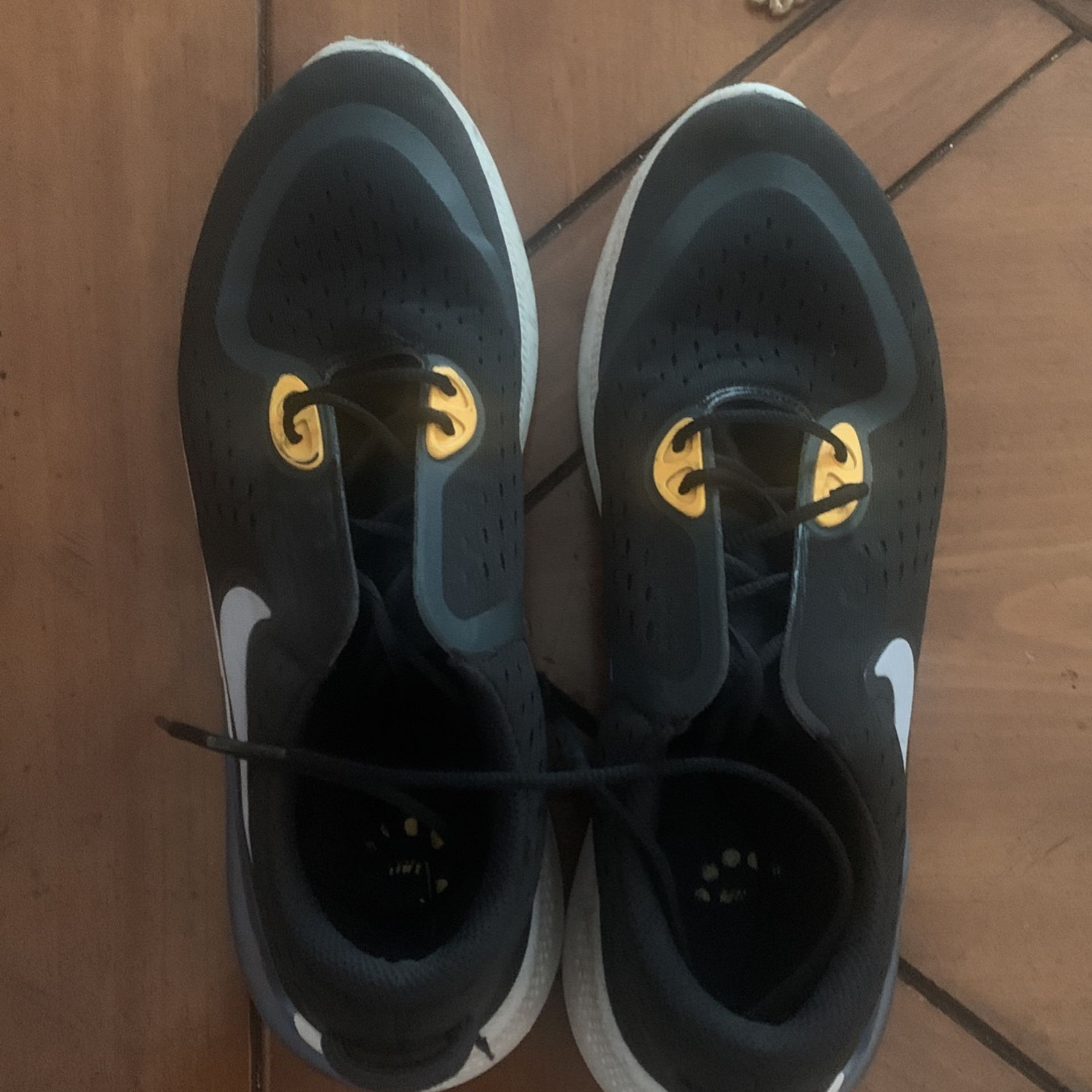 Nike joyride dual run