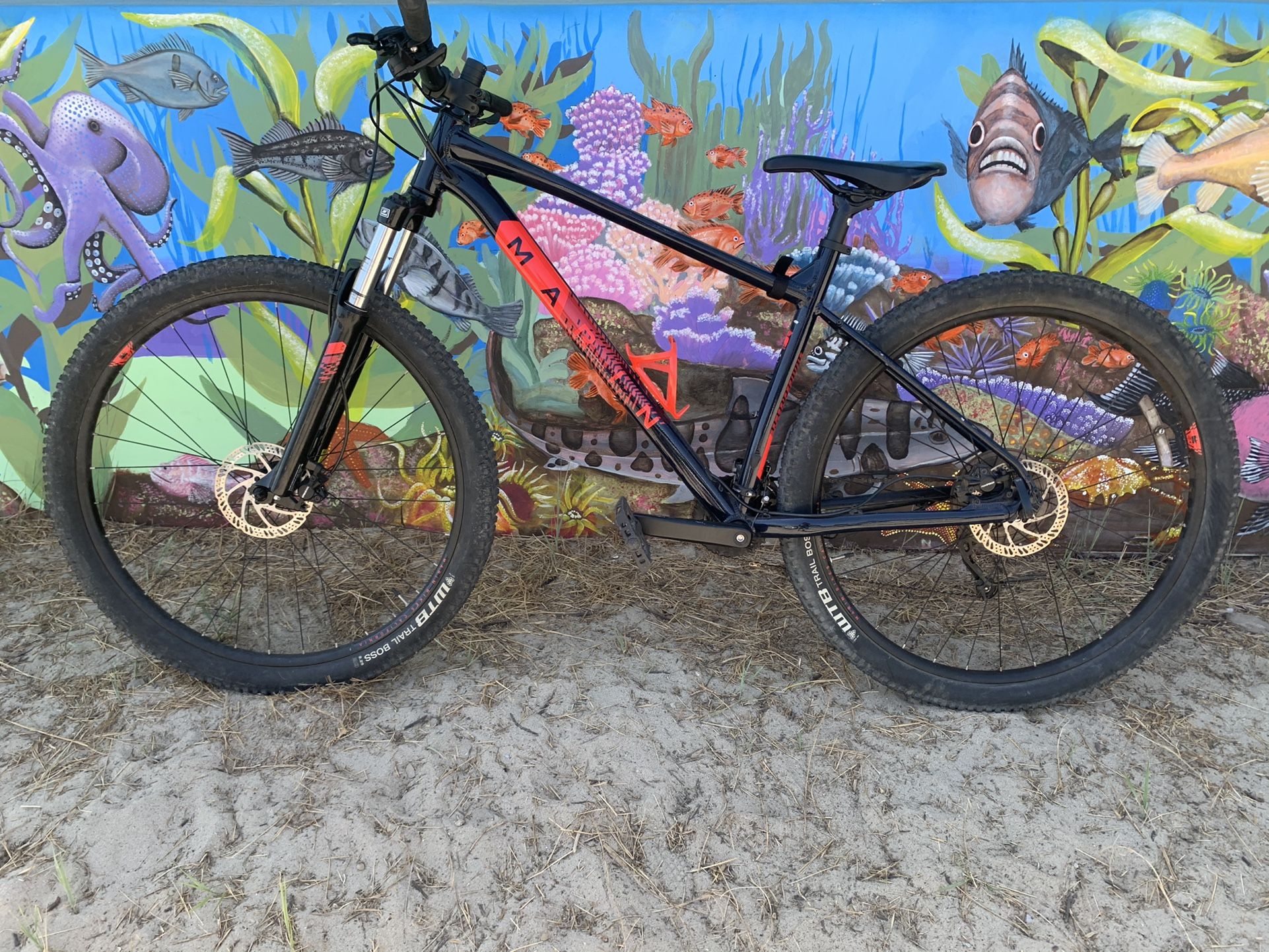 New Chain New Tire Tupes Upgraded Brakes