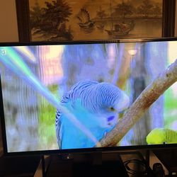 Panasonic 65” Tv 