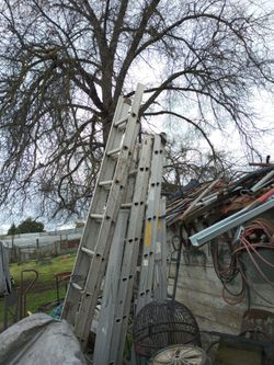 Cheap Ladders