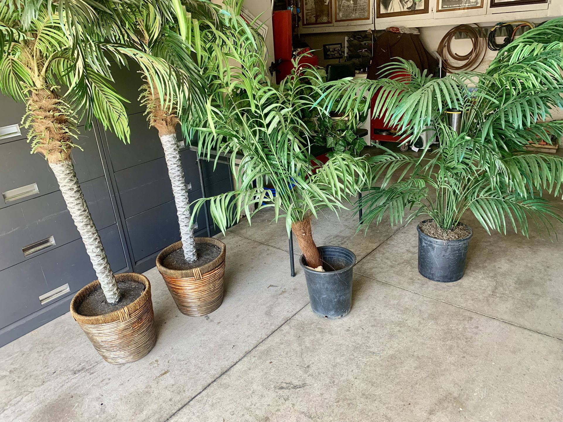Fake Palm Trees and Plants for Indoor/Outdoor Decor 
