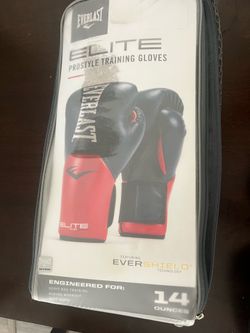 Everlast boxing gloves