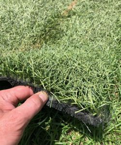Artificial grass used