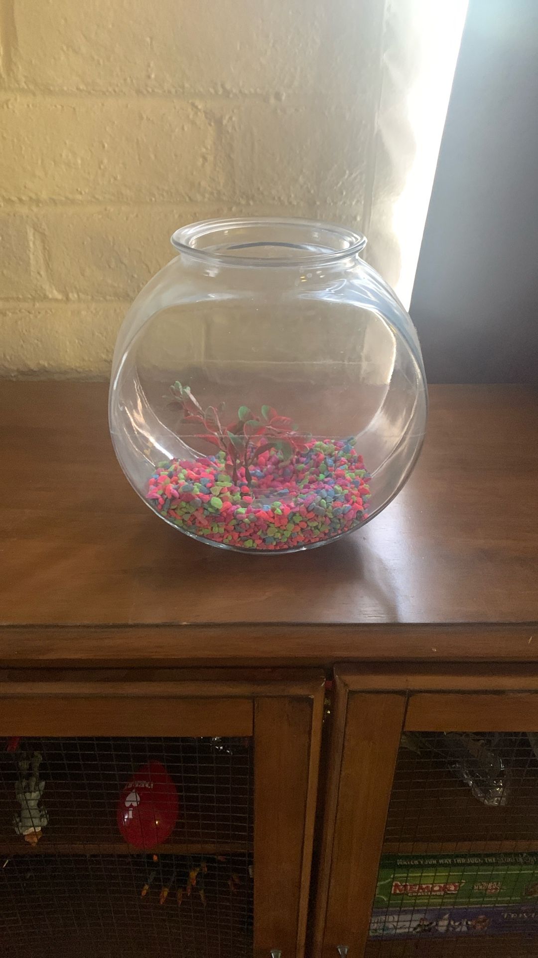 Small Fish Bowl