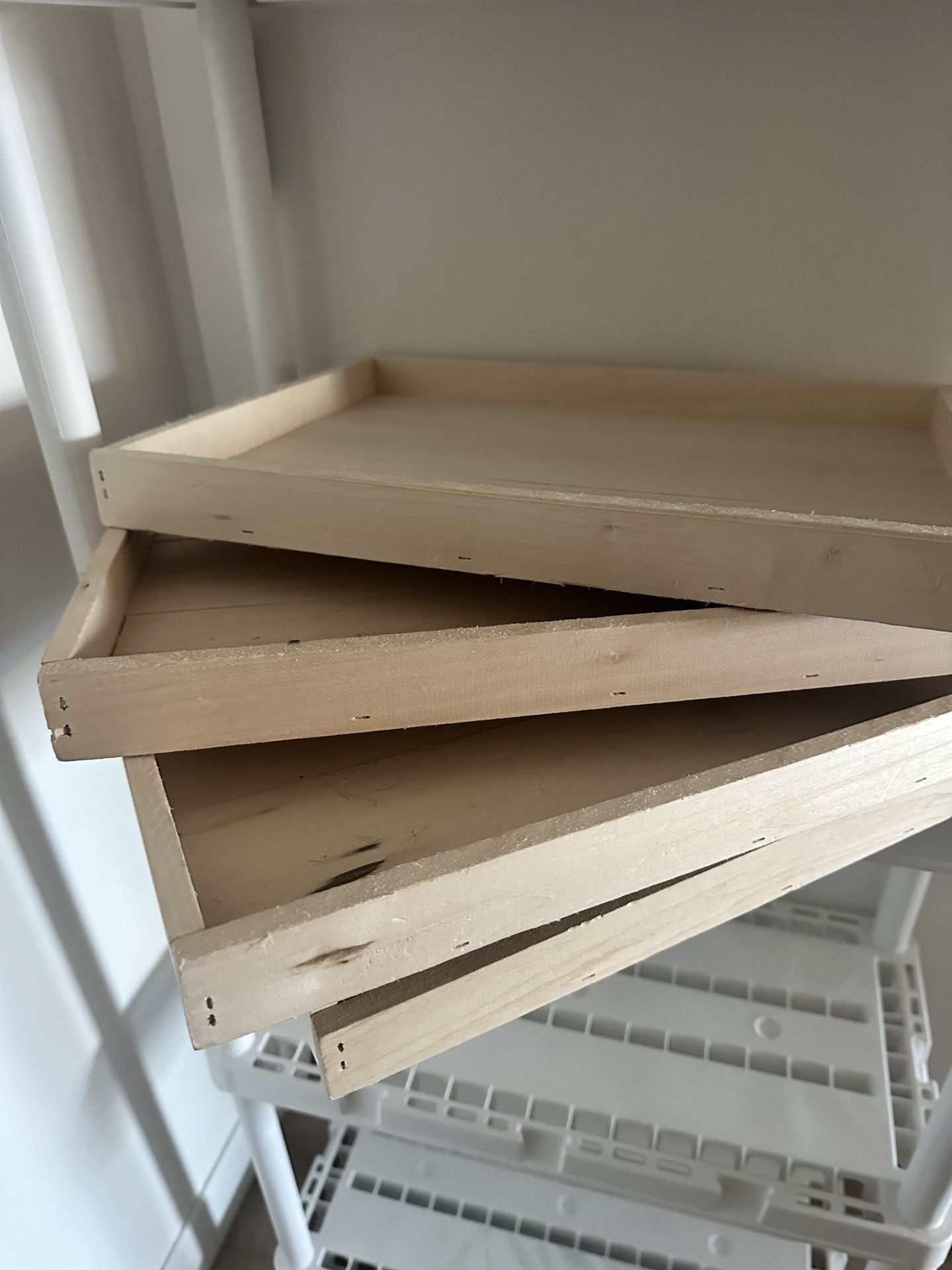Wood Food Trays / Projects