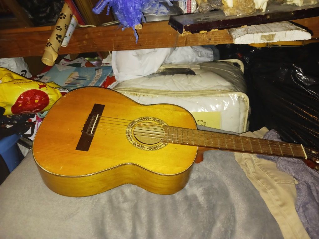 Guitar