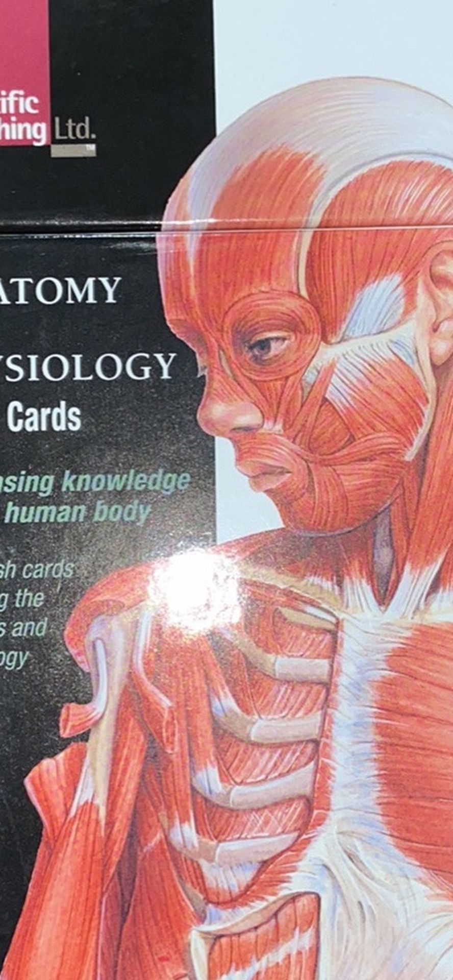 Anatomy And Physiology Flashcards