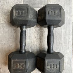 30 Lbs Dumbbells 