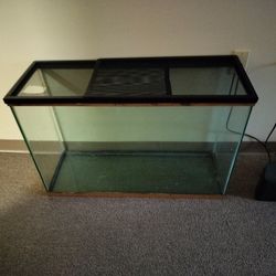 Aquarium Or Reptile Tank 