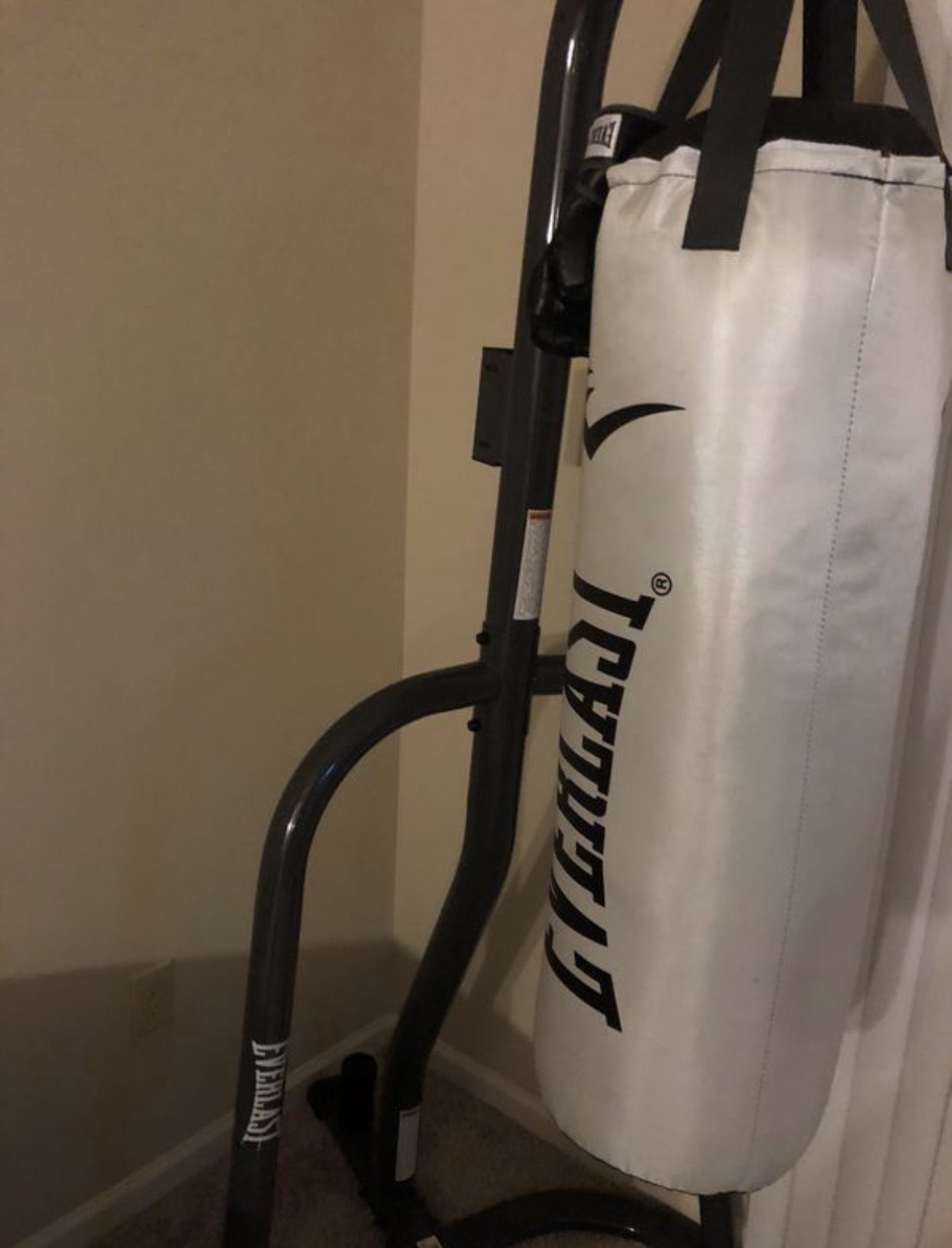 Everlast bag and stand w speedbag